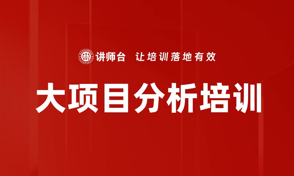 大项目分析培训