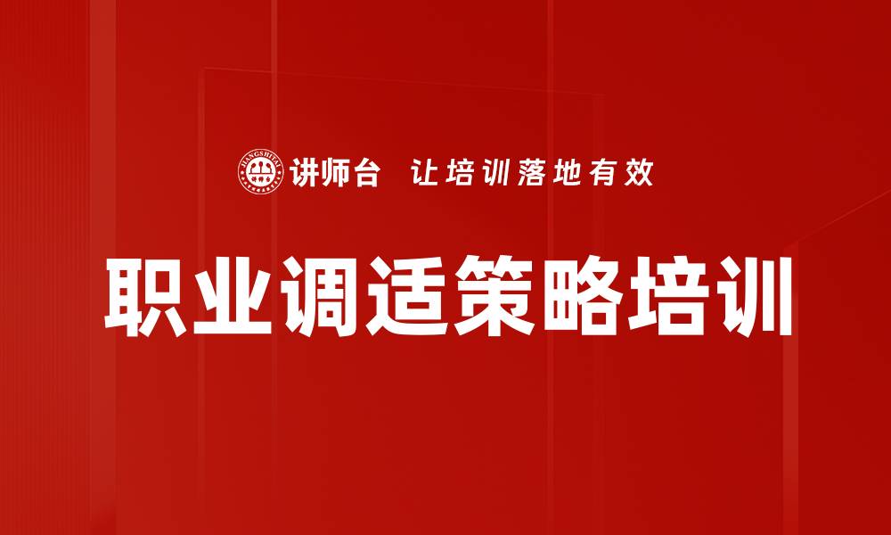 职业调适策略培训