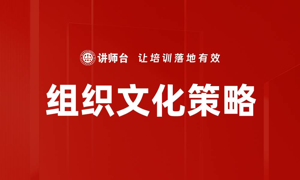 文章组织文化策略的缩略图