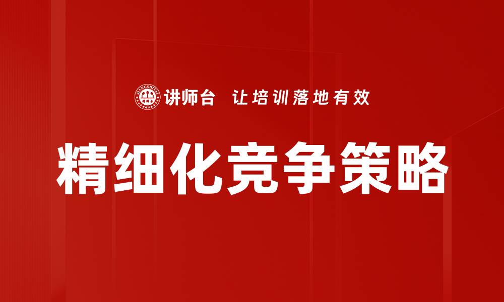 精细化竞争策略