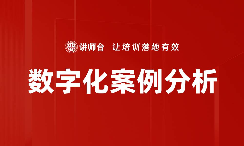 数字化案例分析