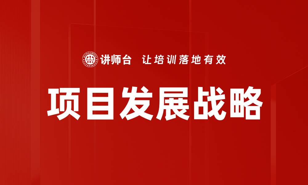 项目发展战略