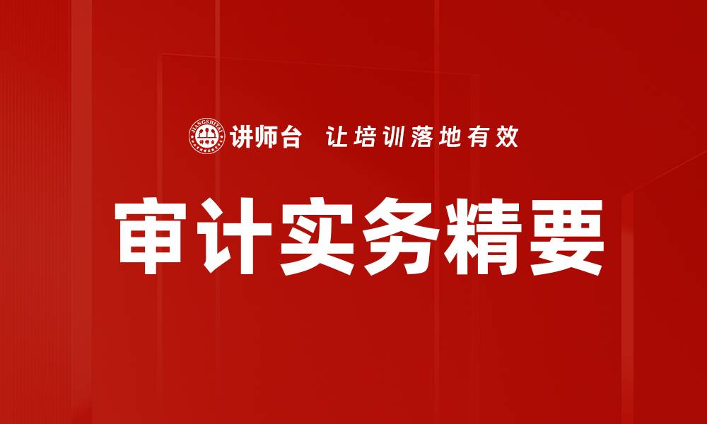 文章审计实务精要的缩略图
