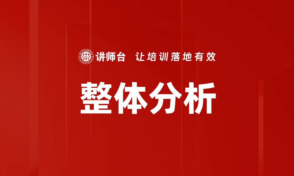 整体分析