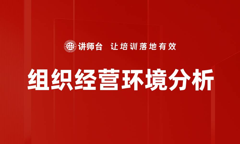 组织经营环境分析