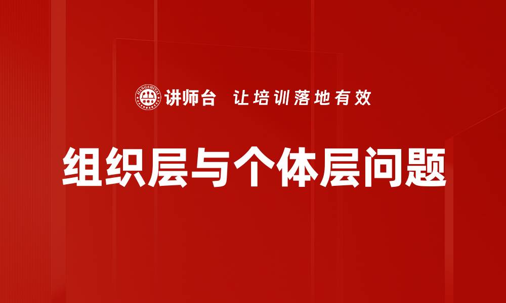 组织层与个体层问题