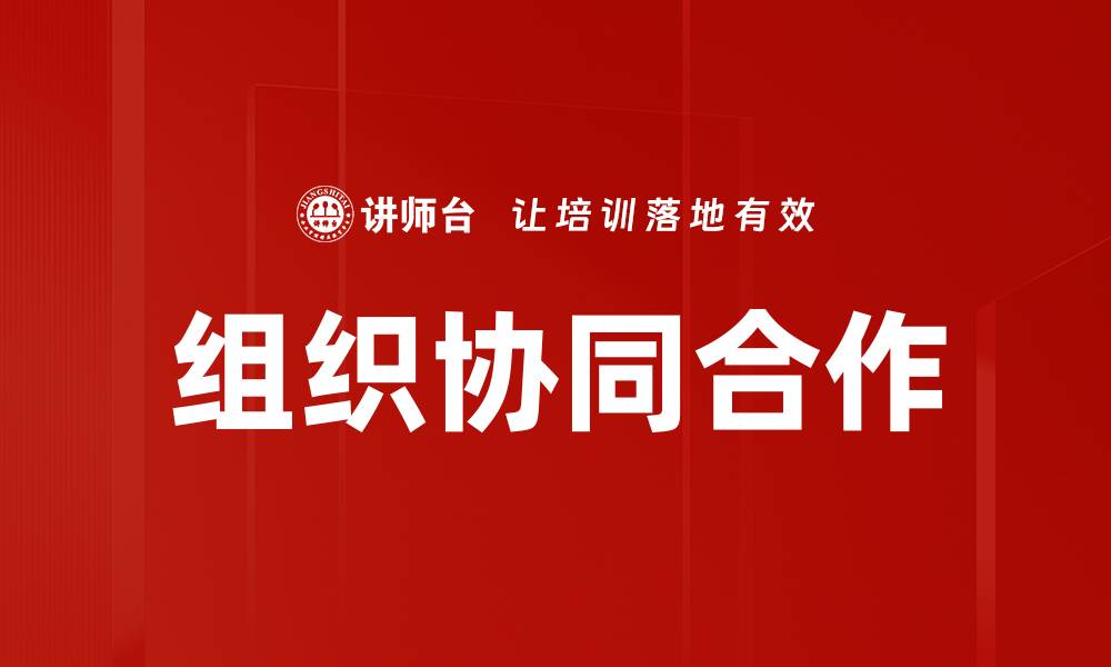 文章组织协同合作的缩略图