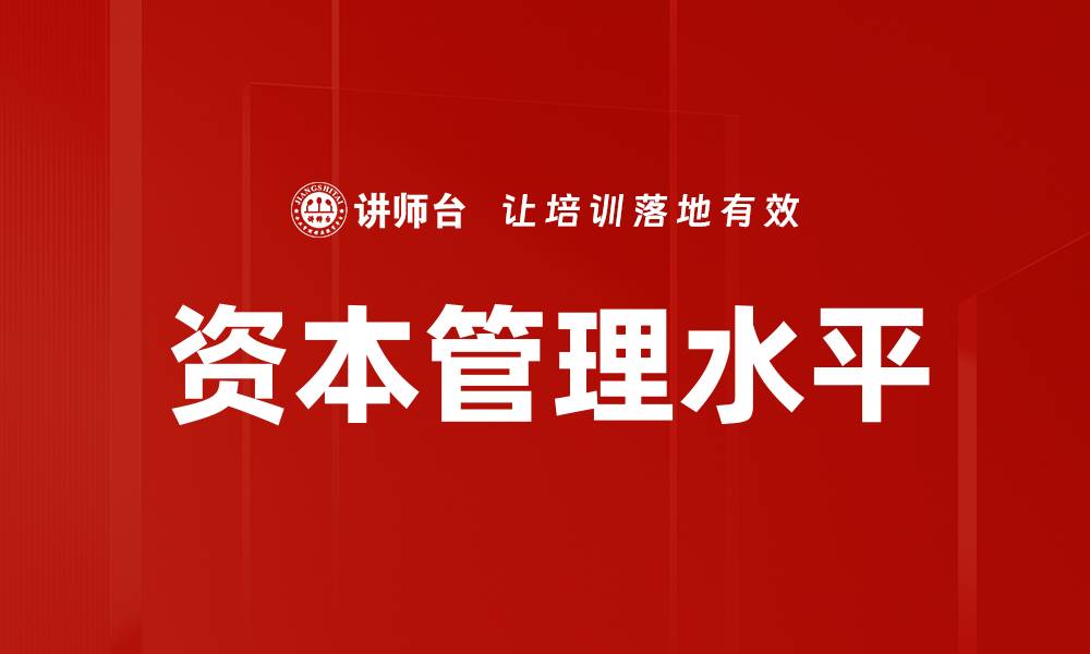 文章资本管理水平的缩略图
