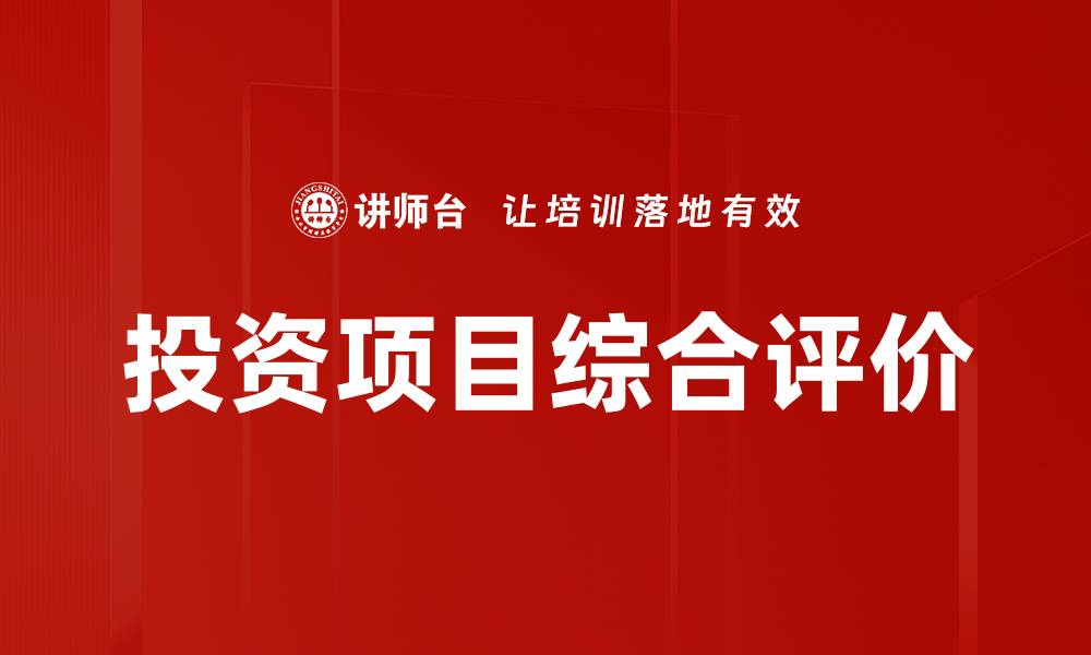 文章投资项目综合评价的缩略图