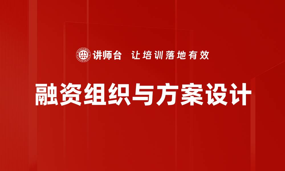 融资组织与方案设计