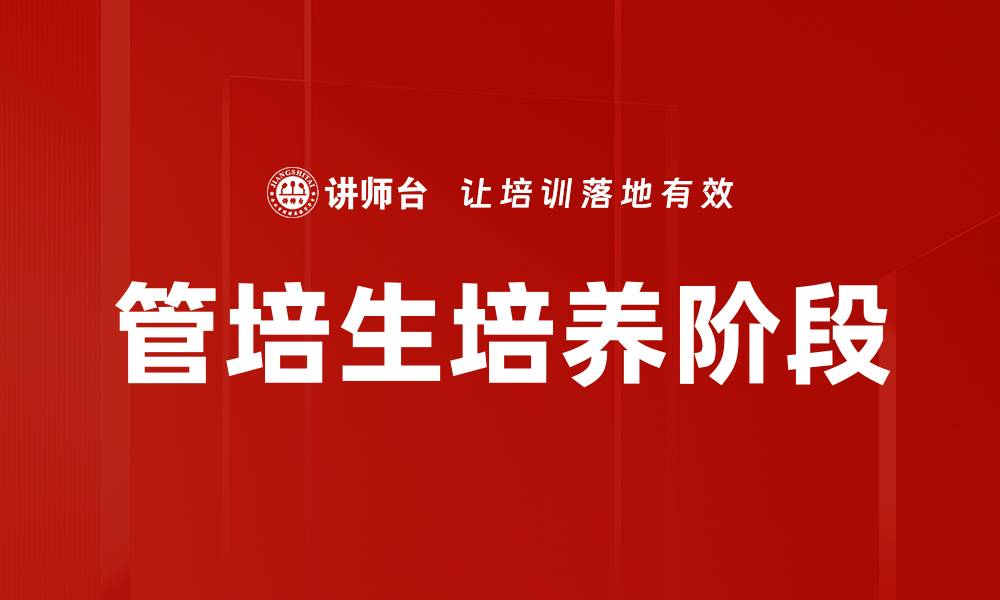 文章管培生培养阶段的缩略图