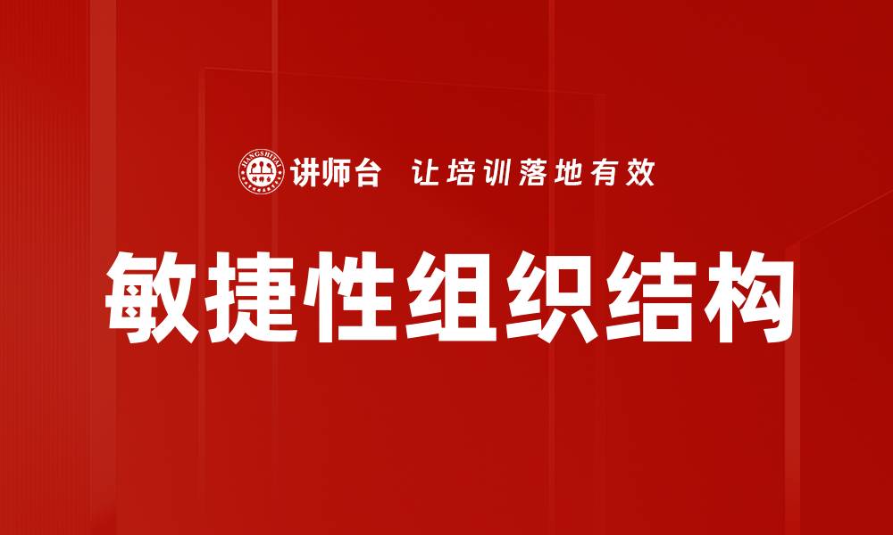文章敏捷性组织结构的缩略图