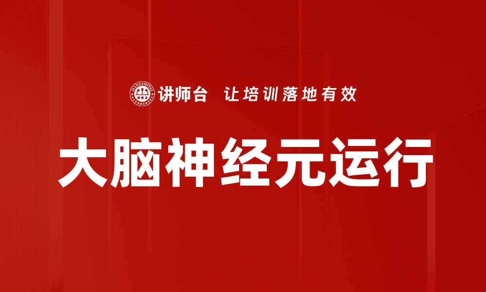 文章大脑神经元运行的缩略图