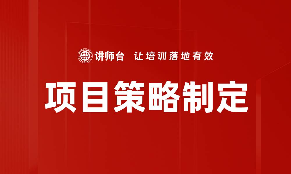 项目策略制定