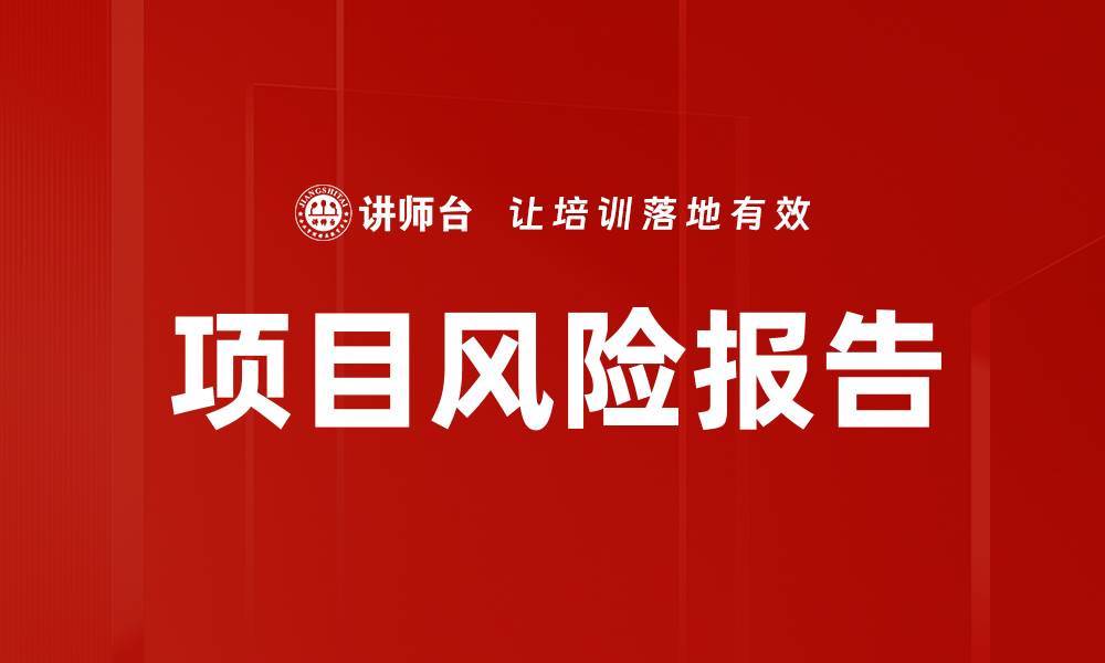 项目风险报告
