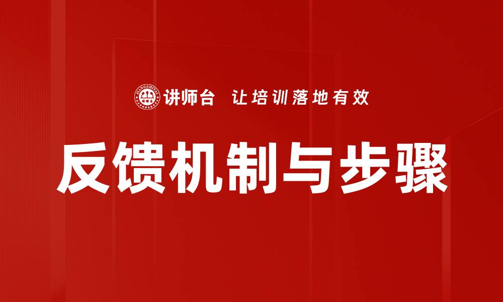 反馈机制与步骤