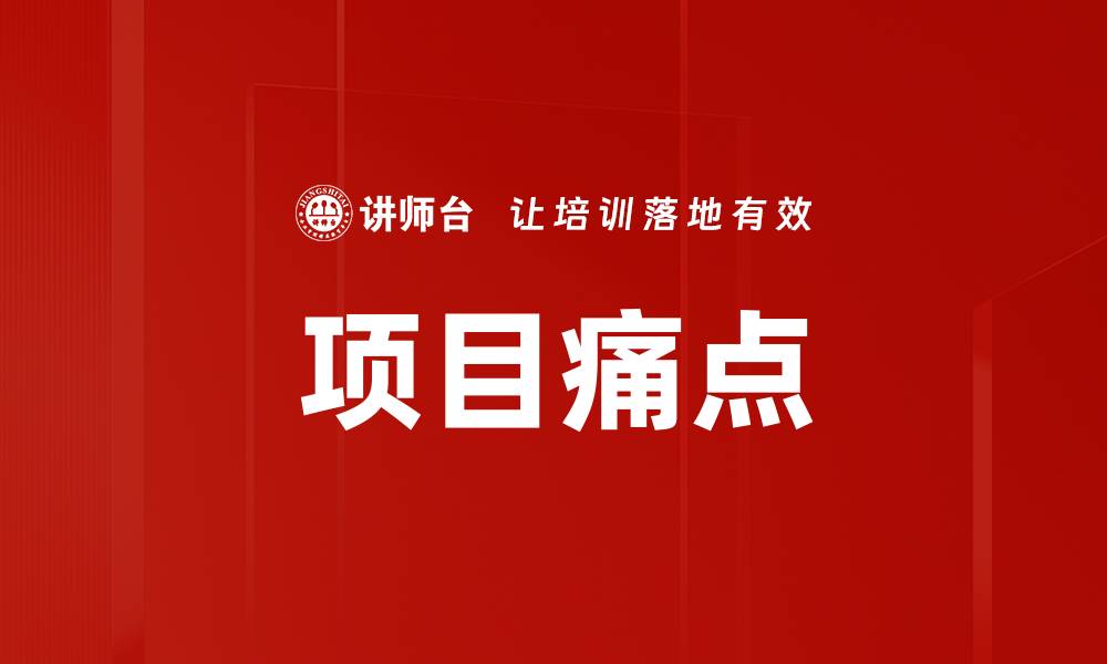 项目痛点