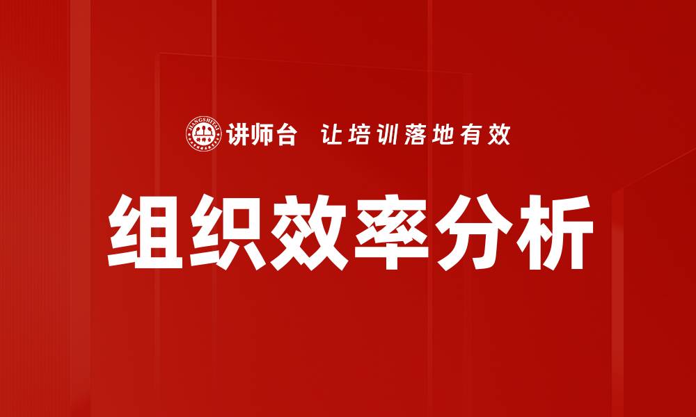 文章组织效率分析的缩略图