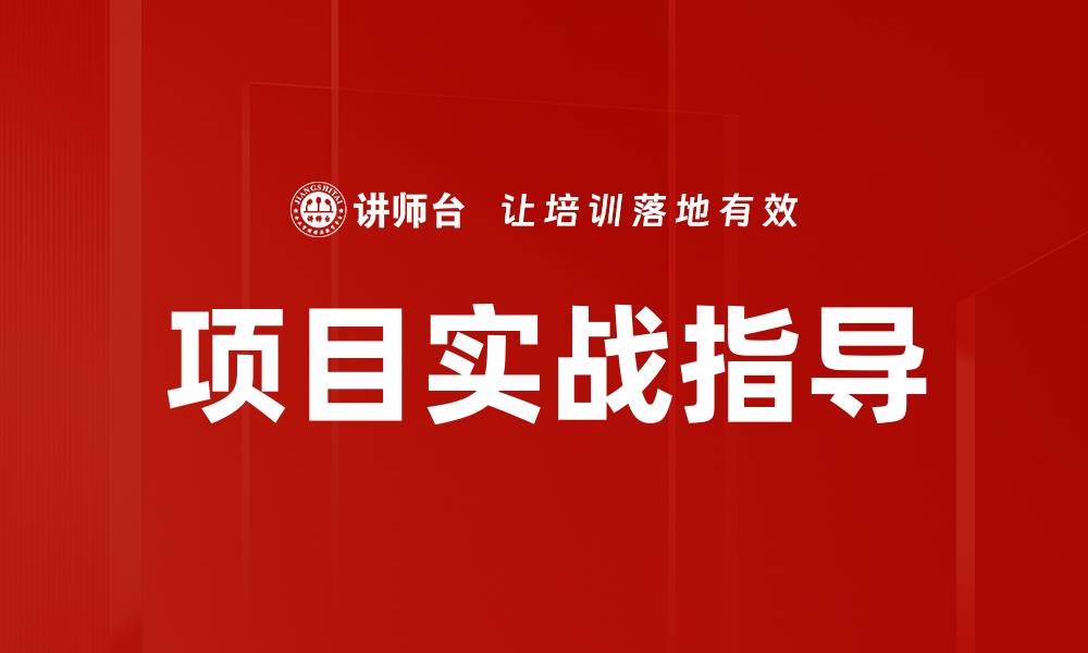 项目实战指导