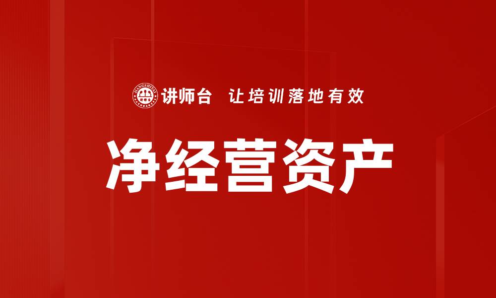 净经营资产