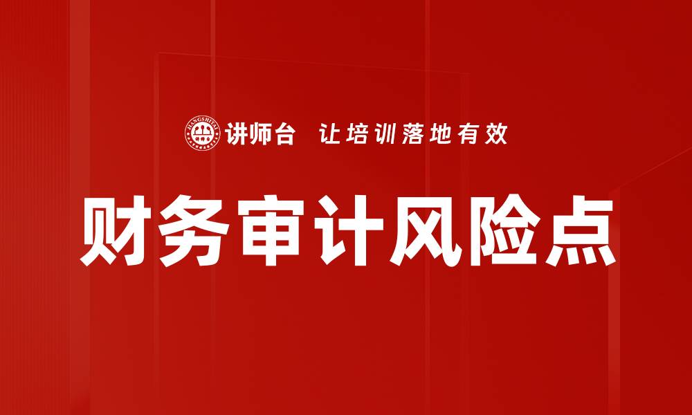 文章财务审计风险点的缩略图