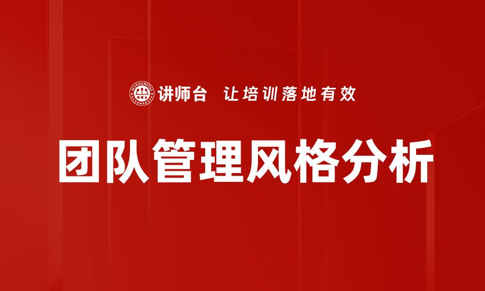 团队管理风格分析