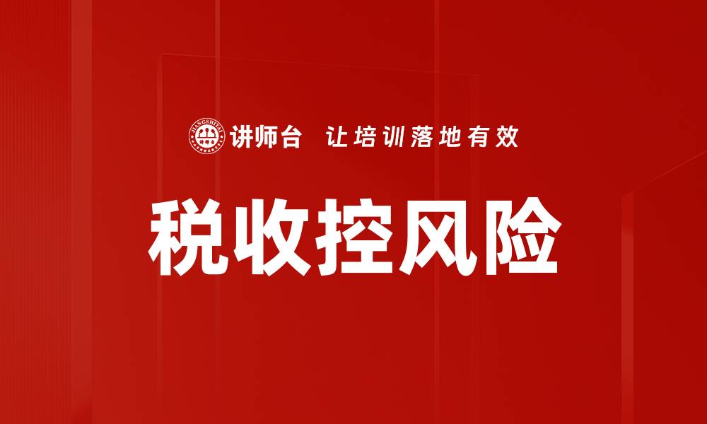 税收控风险