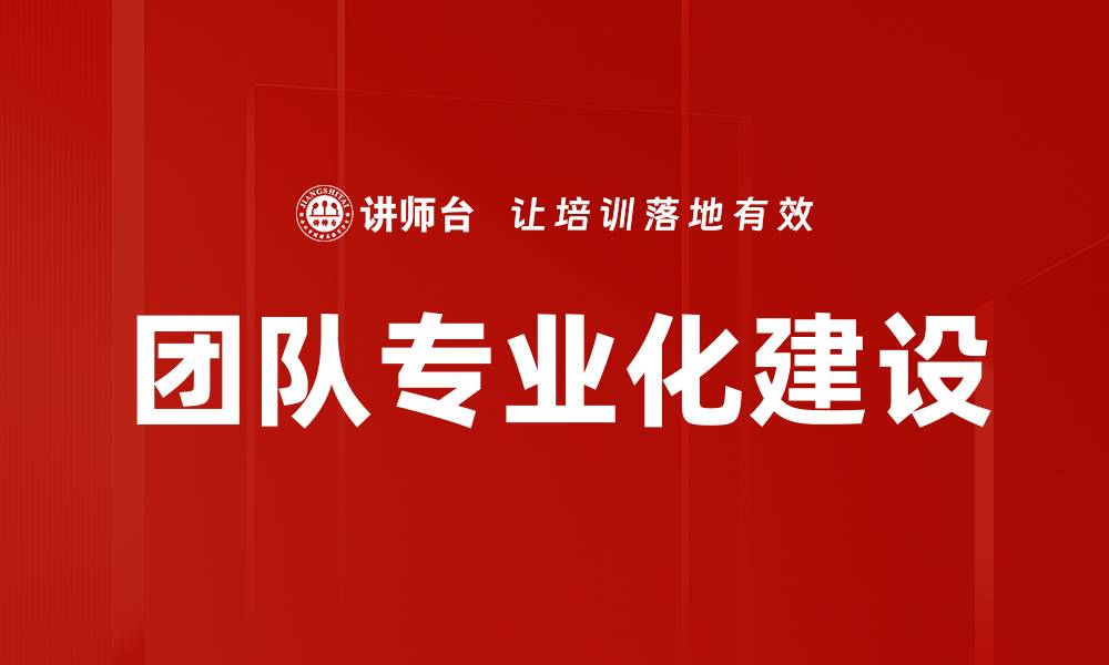 团队专业化建设