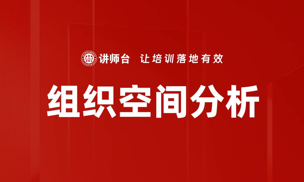 文章组织空间分析的缩略图