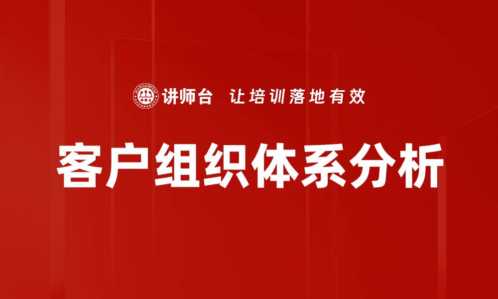 客户组织体系分析