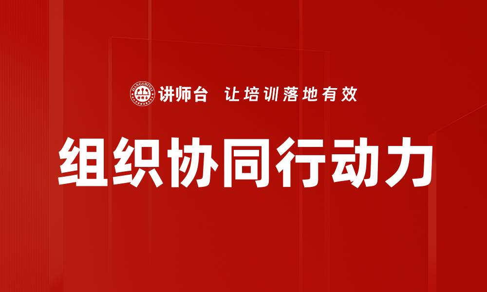 文章组织协同行动力的缩略图
