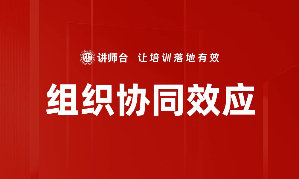 文章组织协同效应的缩略图