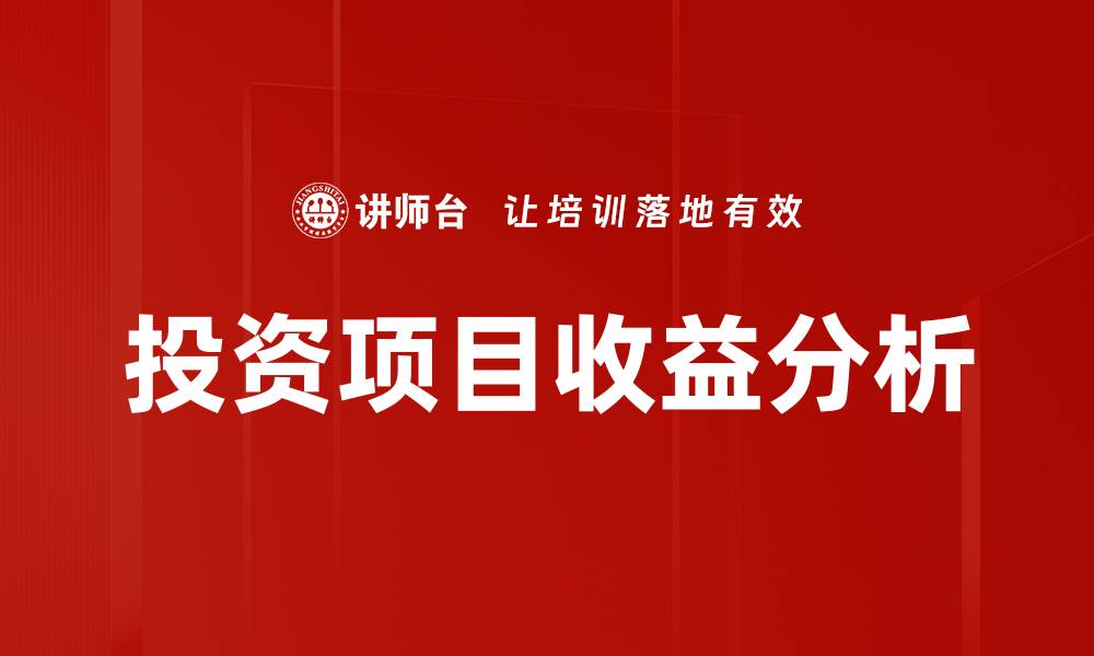文章投资项目收益分析的缩略图