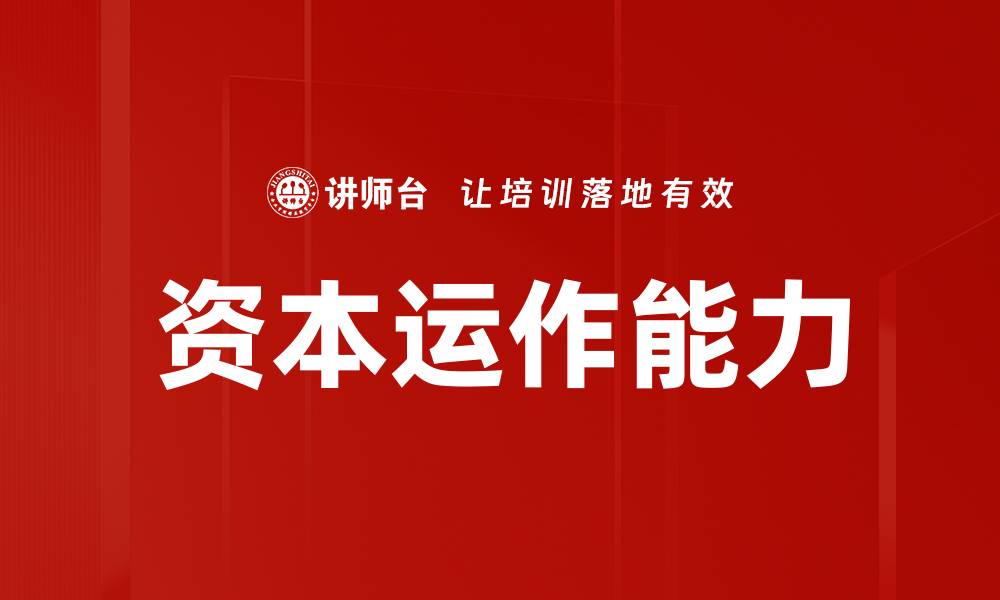 文章资本运作能力的缩略图