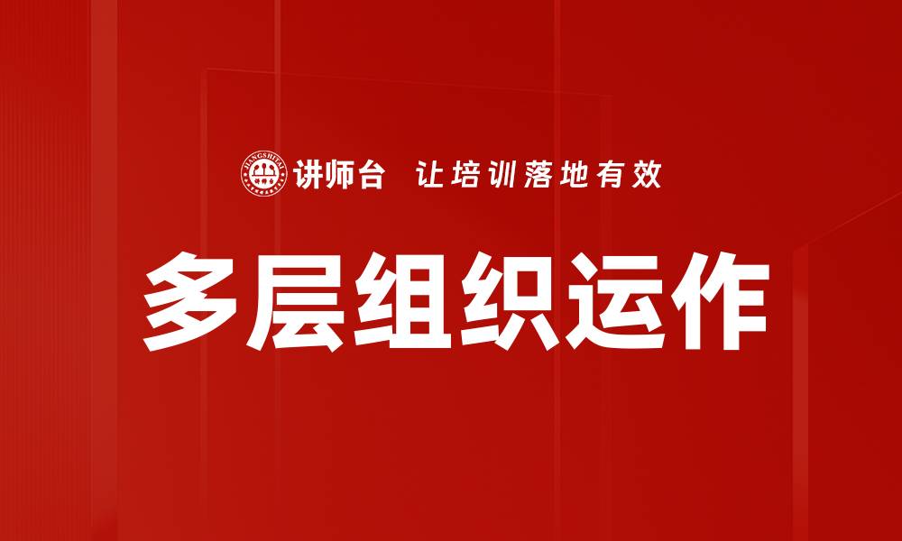 文章多层组织运作的缩略图