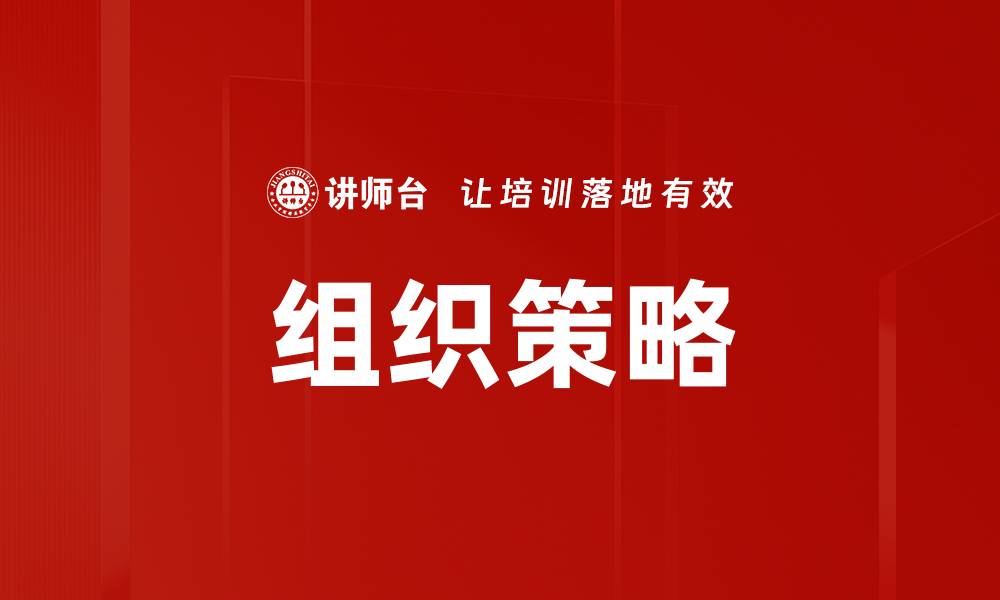 文章组织策略的缩略图