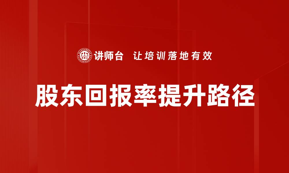 文章股东回报率提升路径的缩略图