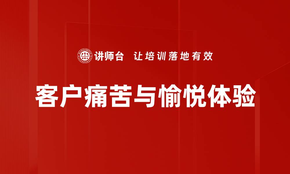 客户痛苦与愉悦体验