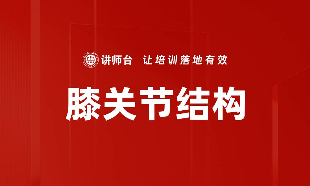 文章膝关节结构的缩略图