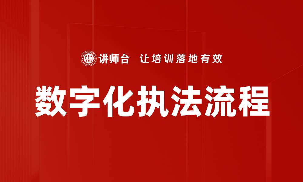 数字化执法流程