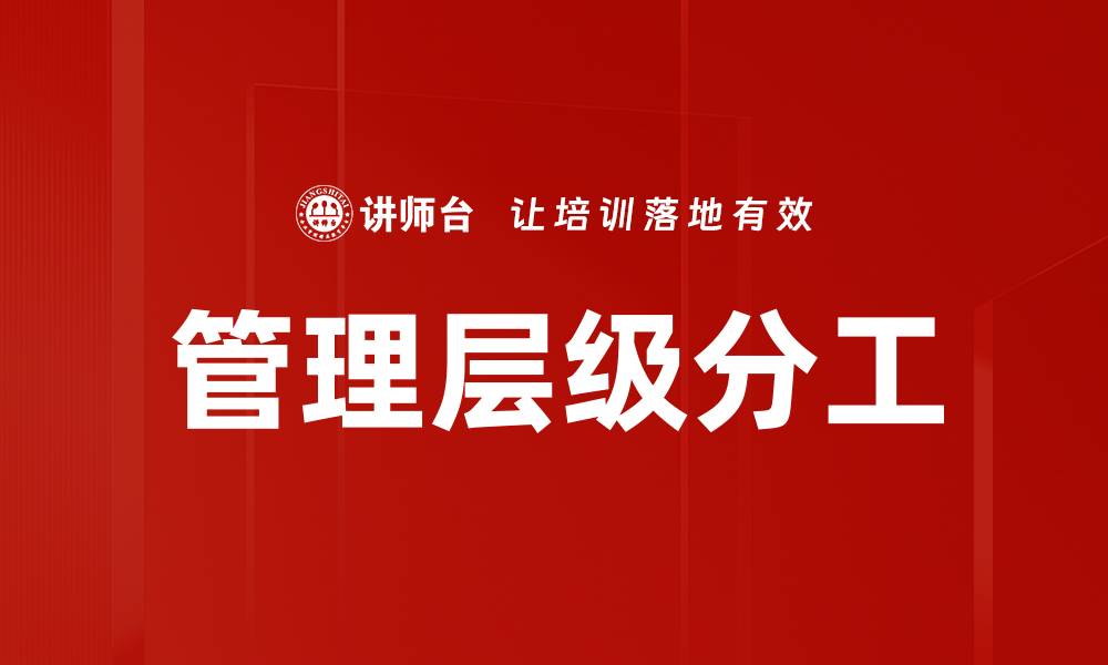 管理层级分工