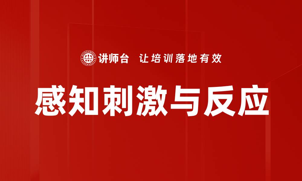 文章感知刺激与反应的缩略图