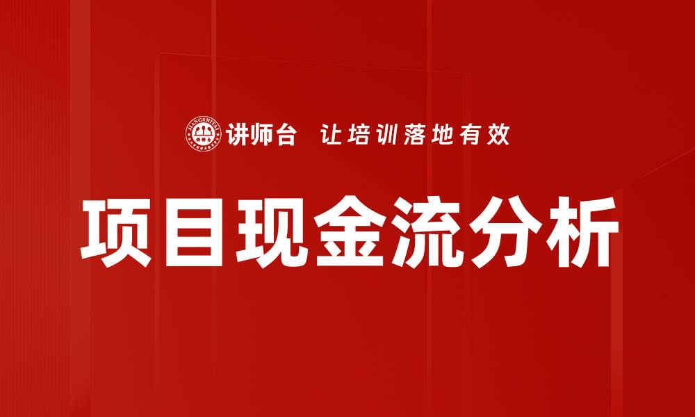 项目现金流分析