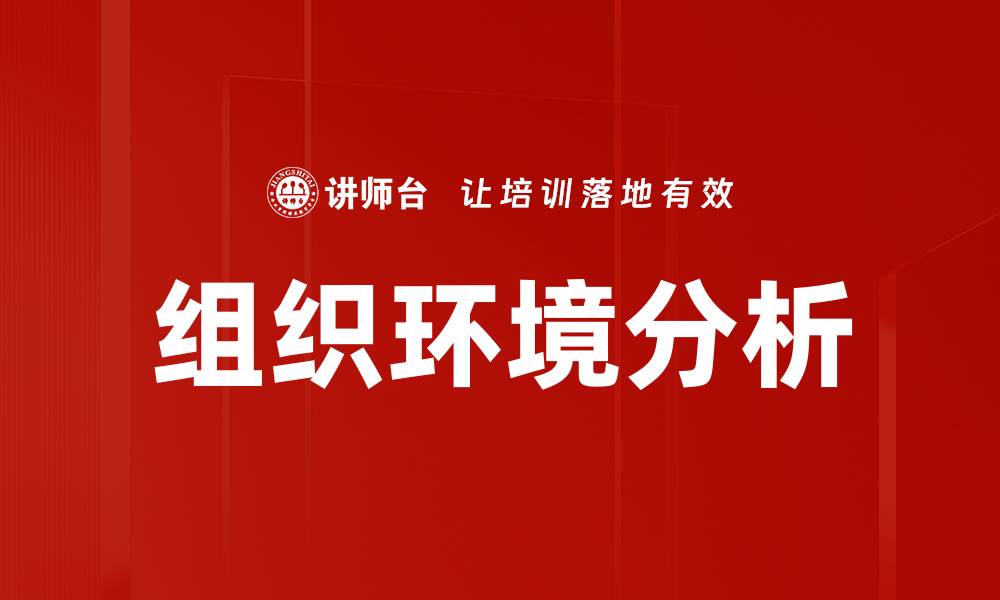 组织环境分析