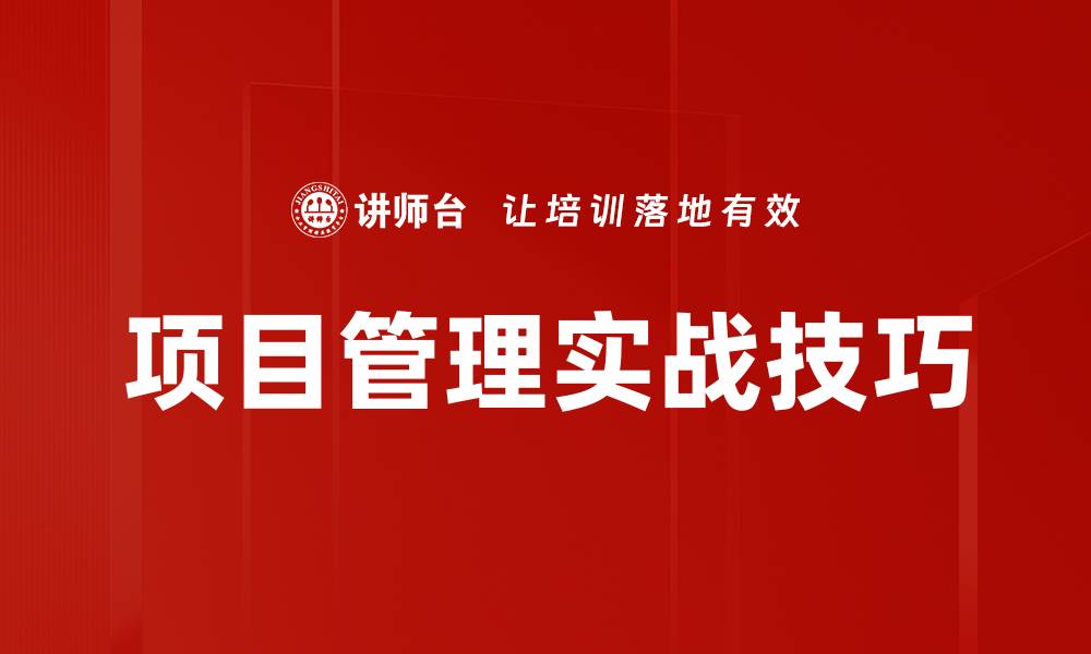 项目管理实战技巧