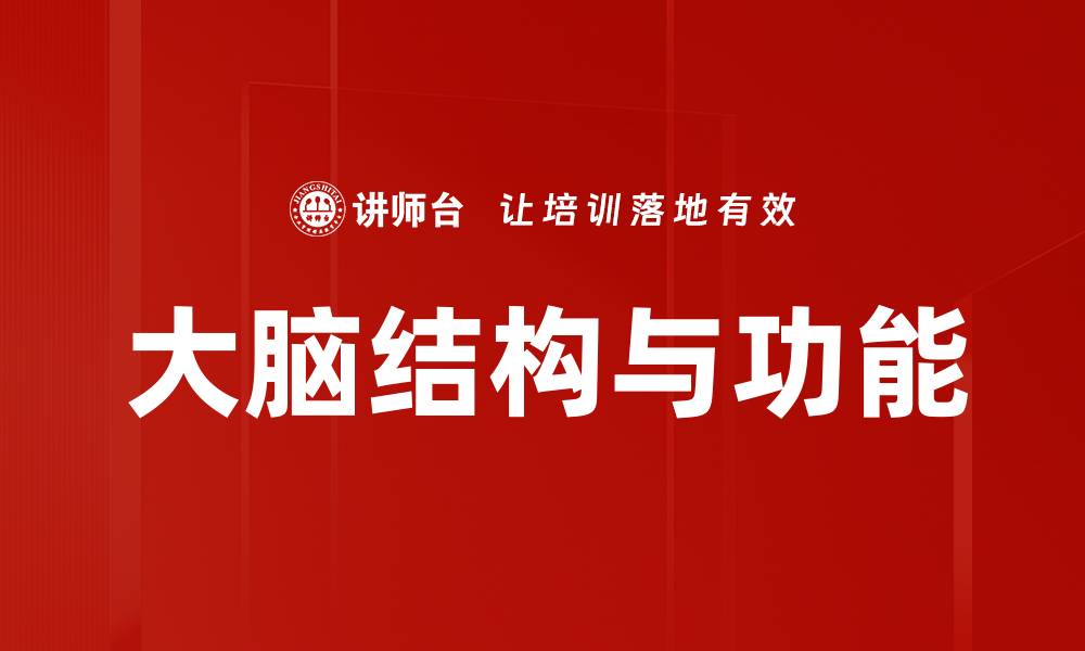 文章大脑结构与功能的缩略图