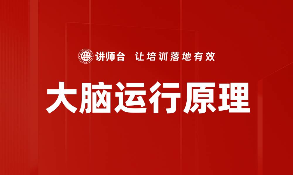 文章大脑运行原理的缩略图