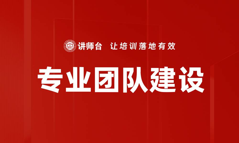 文章专业团队建设的缩略图