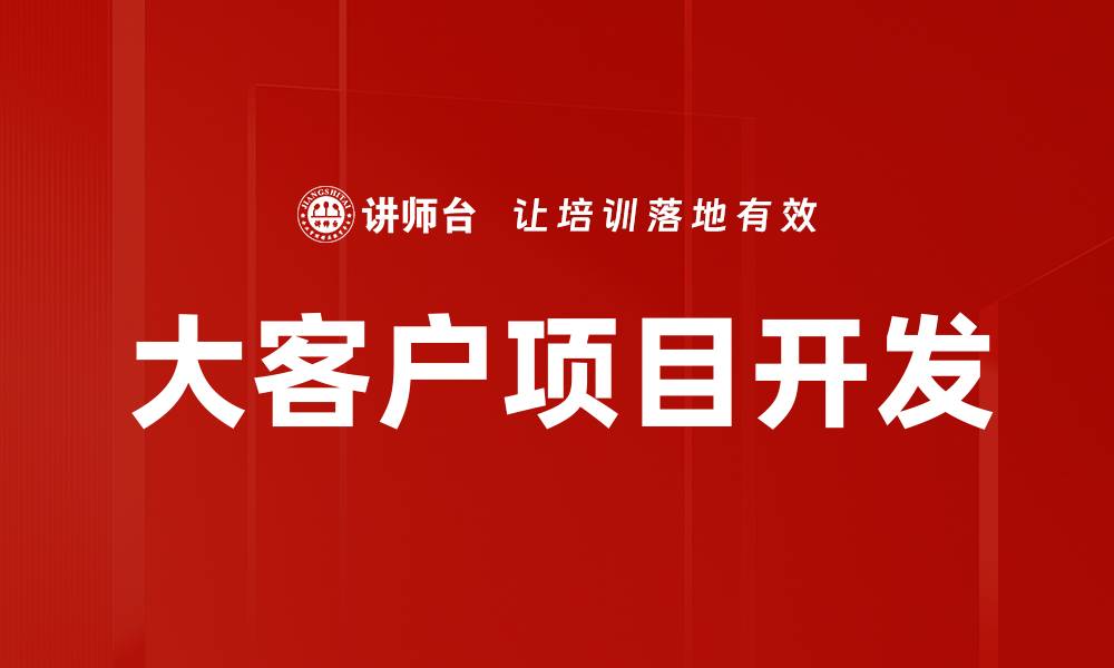 文章大客户项目开发的缩略图