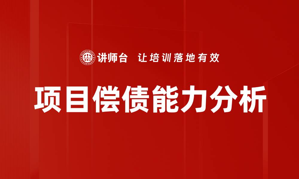 项目偿债能力分析